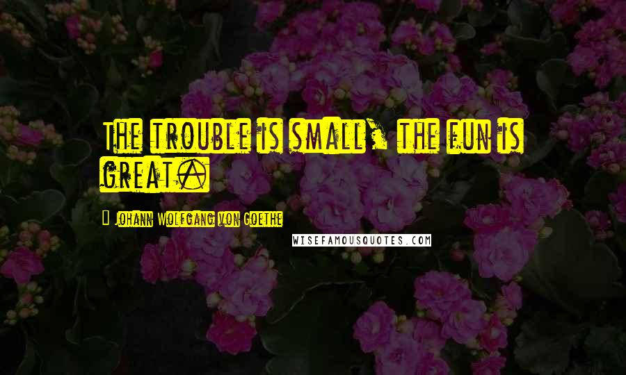 Johann Wolfgang Von Goethe Quotes: The trouble is small, the fun is great.
