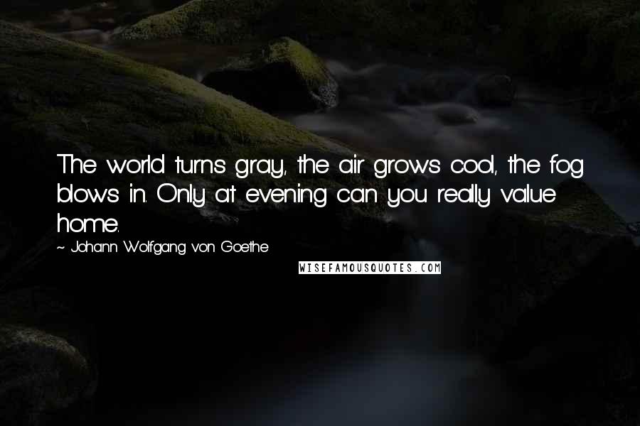 Johann Wolfgang Von Goethe Quotes: The world turns gray, the air grows cool, the fog blows in. Only at evening can you really value home.