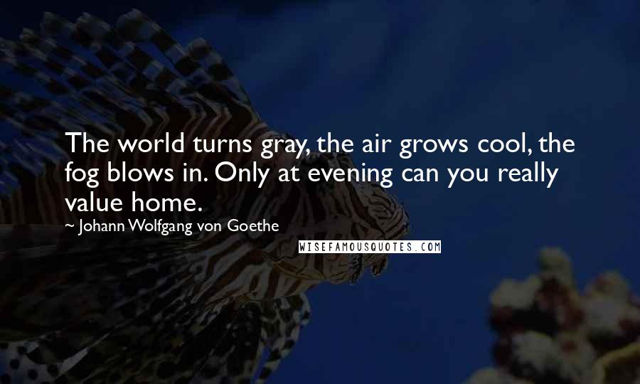 Johann Wolfgang Von Goethe Quotes: The world turns gray, the air grows cool, the fog blows in. Only at evening can you really value home.