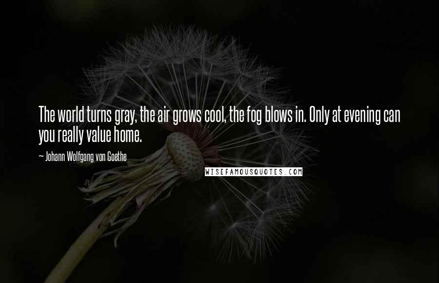 Johann Wolfgang Von Goethe Quotes: The world turns gray, the air grows cool, the fog blows in. Only at evening can you really value home.