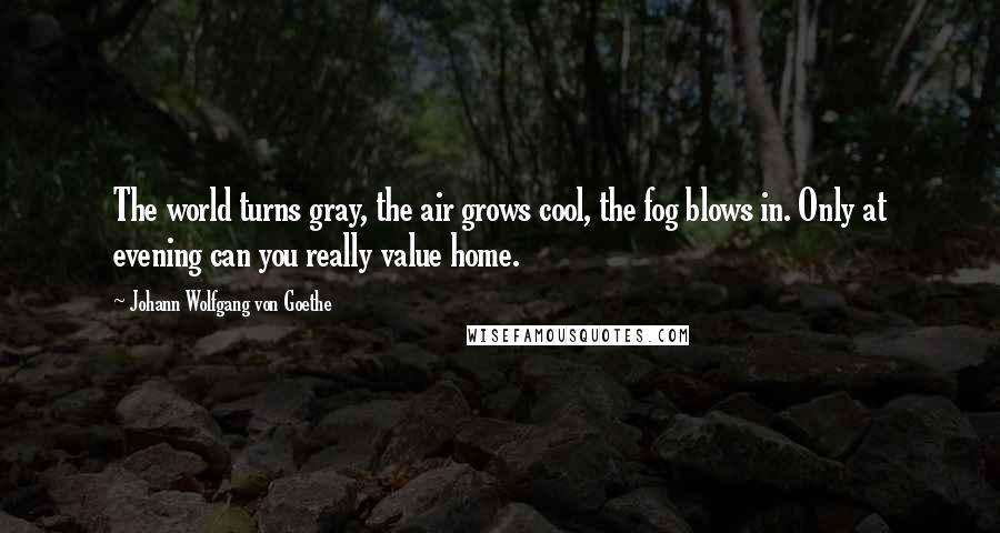 Johann Wolfgang Von Goethe Quotes: The world turns gray, the air grows cool, the fog blows in. Only at evening can you really value home.