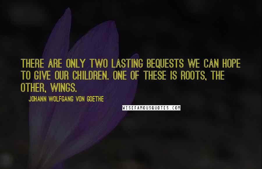Johann Wolfgang Von Goethe Quotes: There are only two lasting bequests we can hope to give our children. One of these is roots, the other, wings.