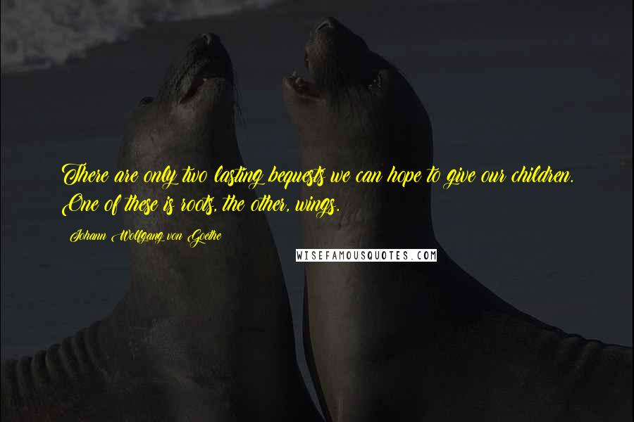 Johann Wolfgang Von Goethe Quotes: There are only two lasting bequests we can hope to give our children. One of these is roots, the other, wings.