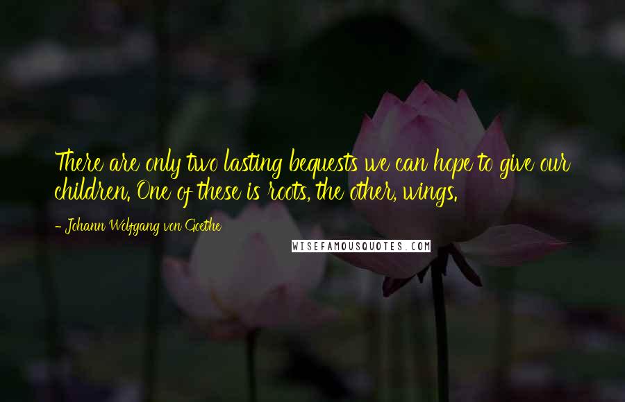 Johann Wolfgang Von Goethe Quotes: There are only two lasting bequests we can hope to give our children. One of these is roots, the other, wings.