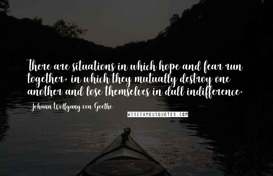 Johann Wolfgang Von Goethe Quotes: There are situations in which hope and fear run together, in which they mutually destroy one another and lose themselves in dull indifference.