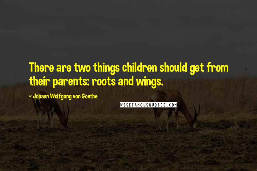 Johann Wolfgang Von Goethe Quotes: There are two things children should get from their parents: roots and wings.