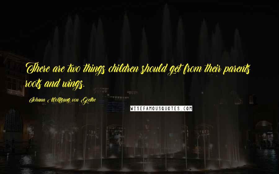 Johann Wolfgang Von Goethe Quotes: There are two things children should get from their parents: roots and wings.