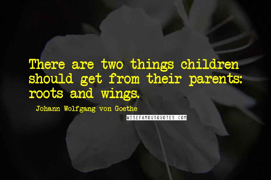 Johann Wolfgang Von Goethe Quotes: There are two things children should get from their parents: roots and wings.