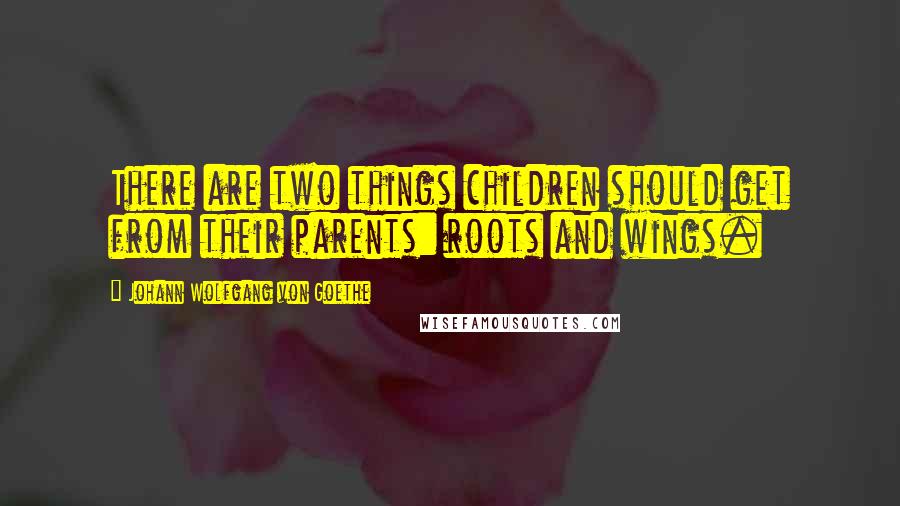 Johann Wolfgang Von Goethe Quotes: There are two things children should get from their parents: roots and wings.