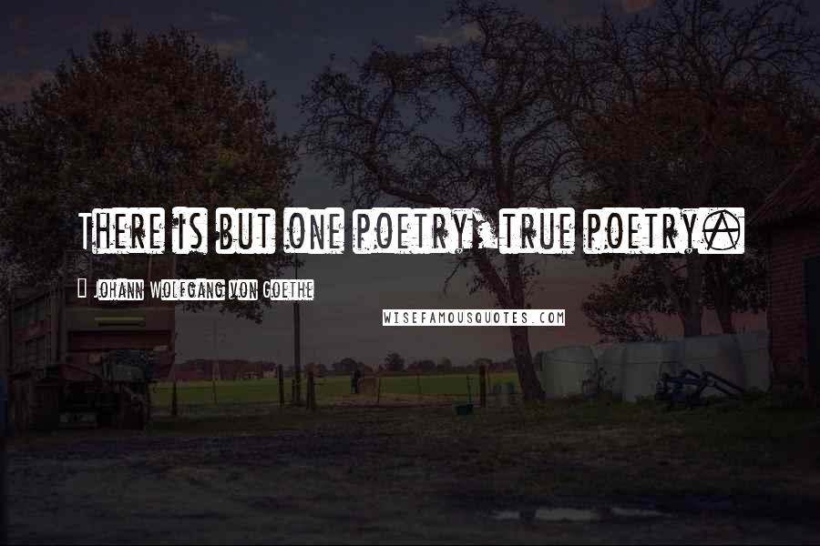 Johann Wolfgang Von Goethe Quotes: There is but one poetry,true poetry.