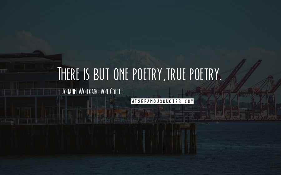 Johann Wolfgang Von Goethe Quotes: There is but one poetry,true poetry.