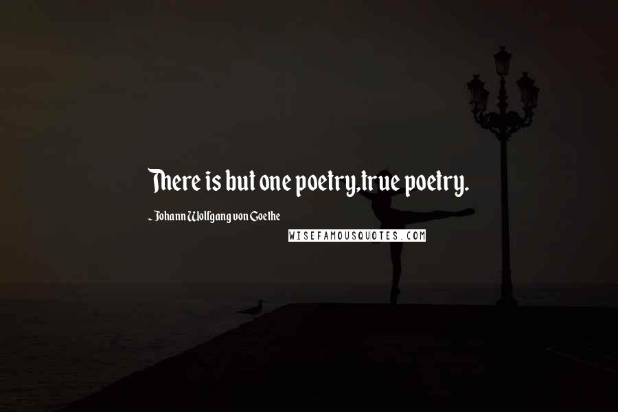Johann Wolfgang Von Goethe Quotes: There is but one poetry,true poetry.