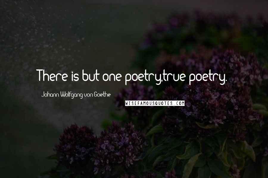 Johann Wolfgang Von Goethe Quotes: There is but one poetry,true poetry.