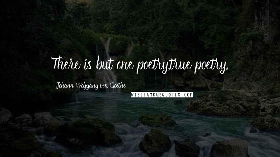 Johann Wolfgang Von Goethe Quotes: There is but one poetry,true poetry.