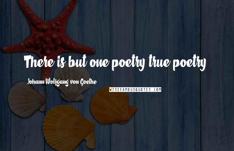 Johann Wolfgang Von Goethe Quotes: There is but one poetry,true poetry.