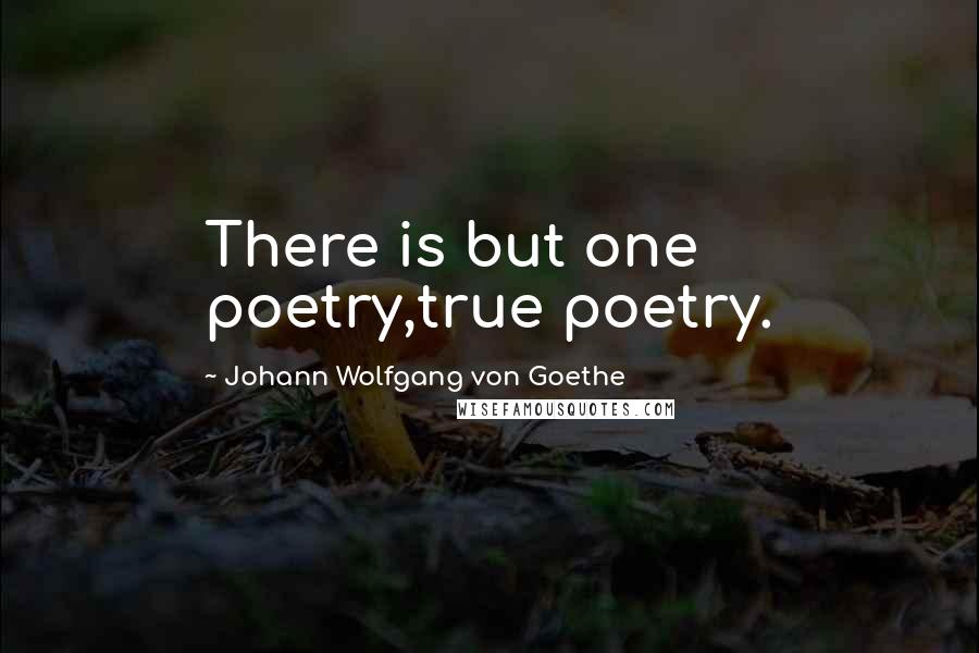 Johann Wolfgang Von Goethe Quotes: There is but one poetry,true poetry.