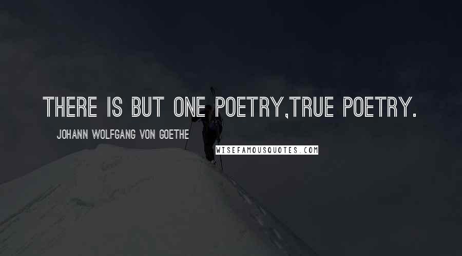 Johann Wolfgang Von Goethe Quotes: There is but one poetry,true poetry.