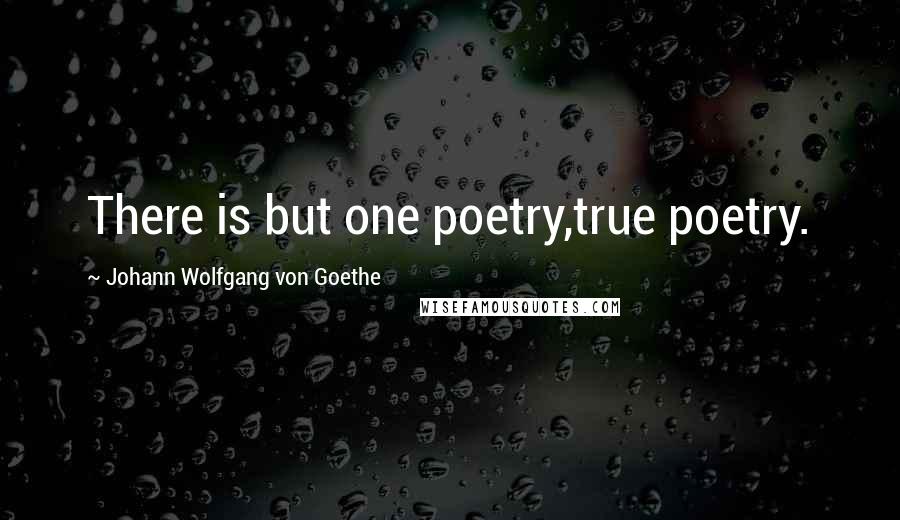 Johann Wolfgang Von Goethe Quotes: There is but one poetry,true poetry.