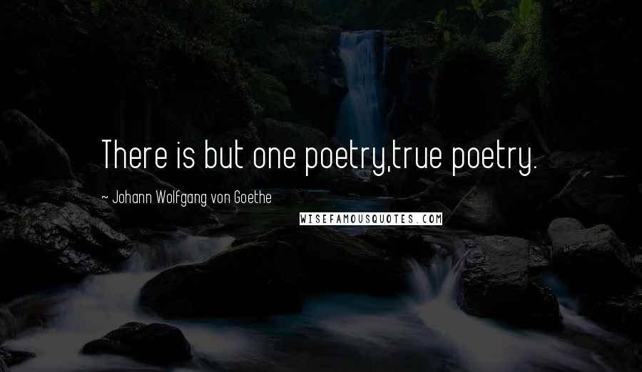 Johann Wolfgang Von Goethe Quotes: There is but one poetry,true poetry.