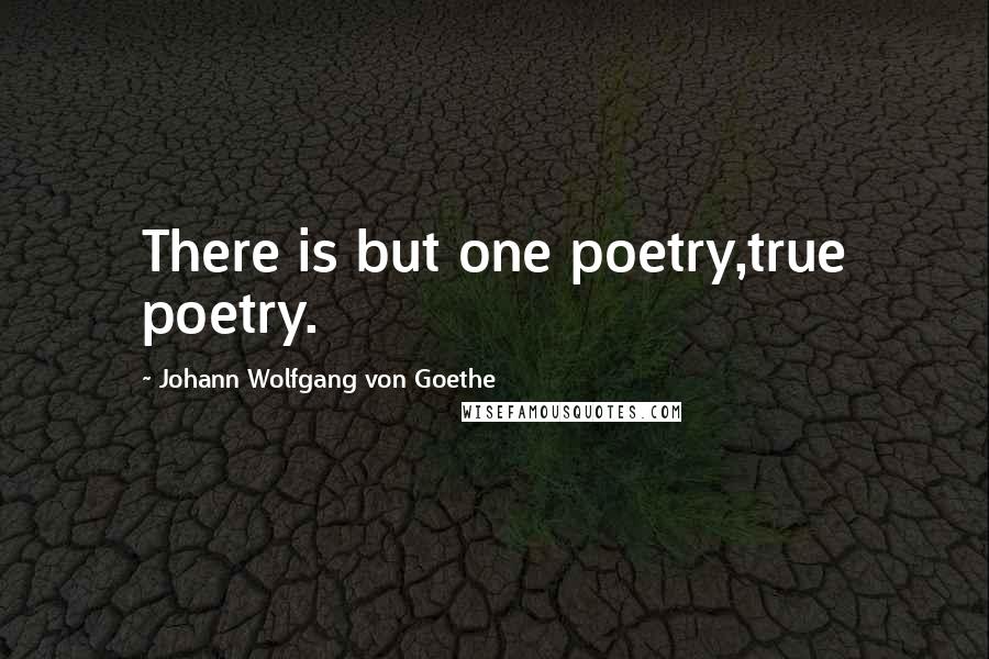 Johann Wolfgang Von Goethe Quotes: There is but one poetry,true poetry.