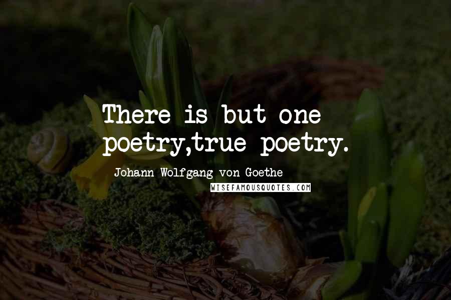Johann Wolfgang Von Goethe Quotes: There is but one poetry,true poetry.