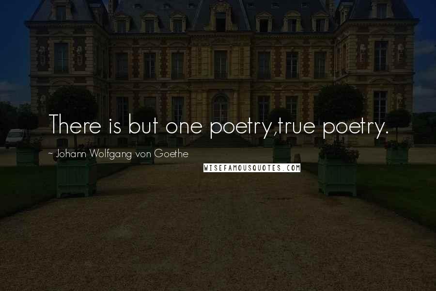 Johann Wolfgang Von Goethe Quotes: There is but one poetry,true poetry.