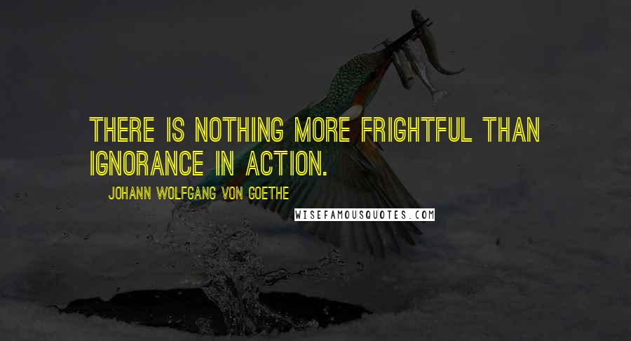 Johann Wolfgang Von Goethe Quotes: There is nothing more frightful than ignorance in action.