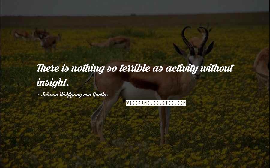 Johann Wolfgang Von Goethe Quotes: There is nothing so terrible as activity without insight.