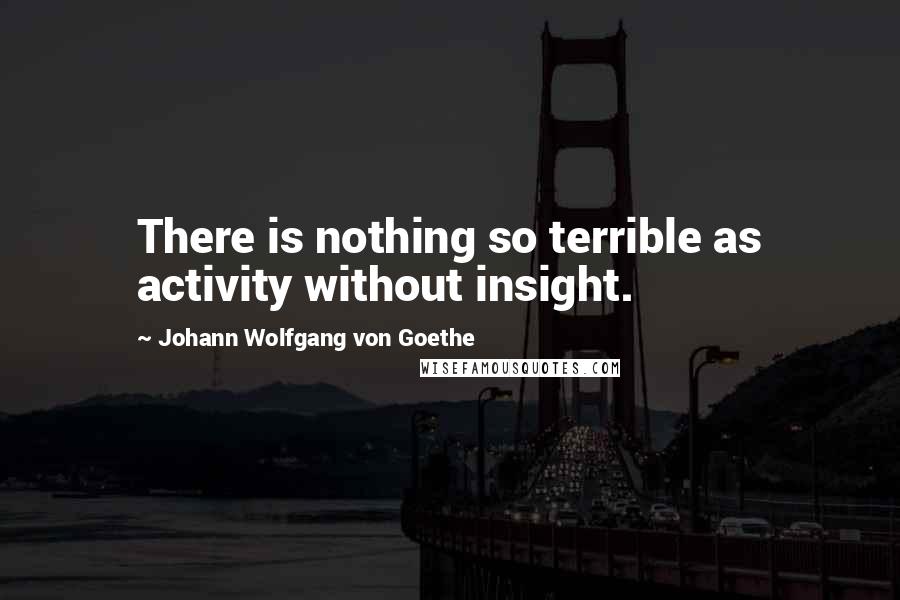 Johann Wolfgang Von Goethe Quotes: There is nothing so terrible as activity without insight.