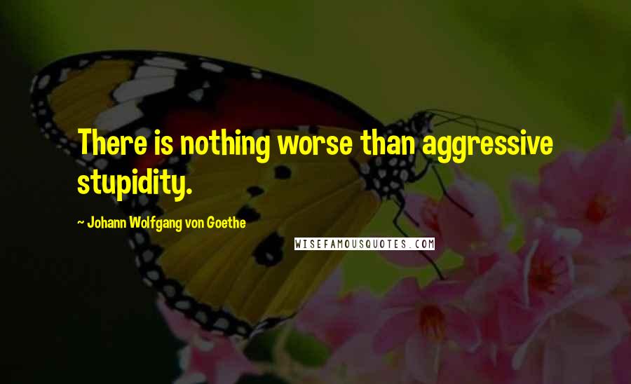 Johann Wolfgang Von Goethe Quotes: There is nothing worse than aggressive stupidity.