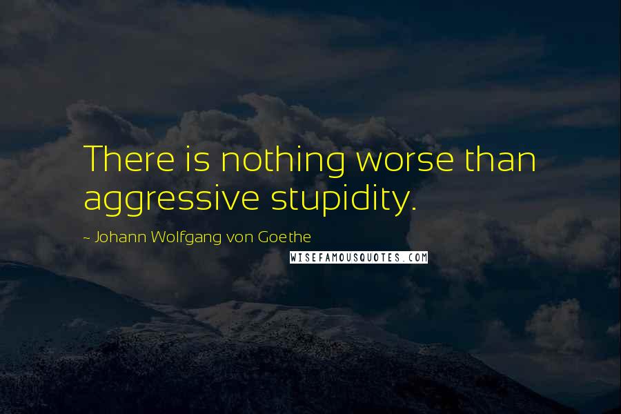 Johann Wolfgang Von Goethe Quotes: There is nothing worse than aggressive stupidity.