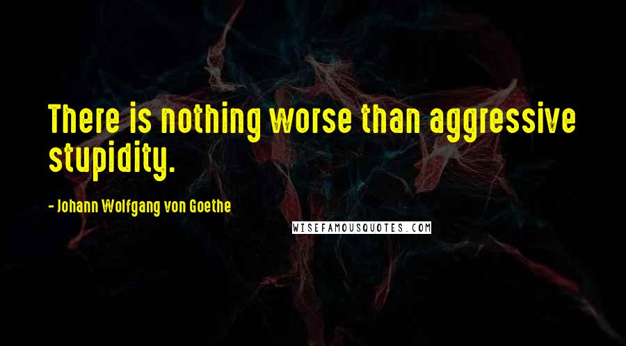 Johann Wolfgang Von Goethe Quotes: There is nothing worse than aggressive stupidity.