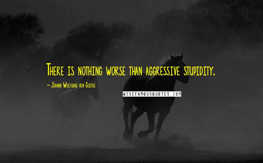 Johann Wolfgang Von Goethe Quotes: There is nothing worse than aggressive stupidity.