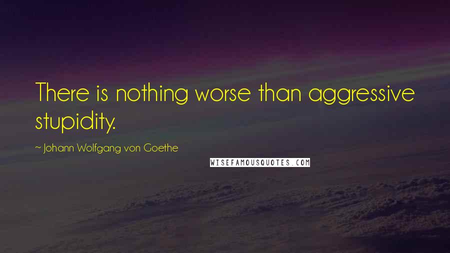 Johann Wolfgang Von Goethe Quotes: There is nothing worse than aggressive stupidity.