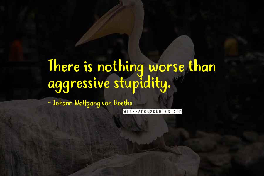 Johann Wolfgang Von Goethe Quotes: There is nothing worse than aggressive stupidity.