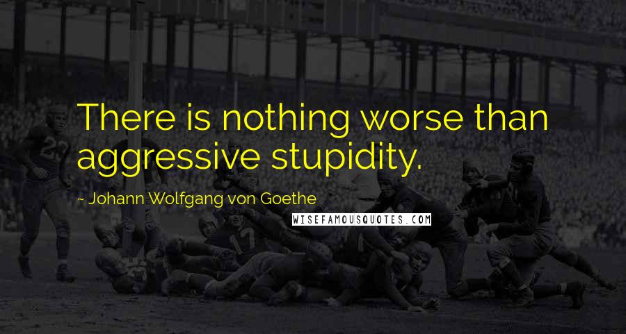 Johann Wolfgang Von Goethe Quotes: There is nothing worse than aggressive stupidity.