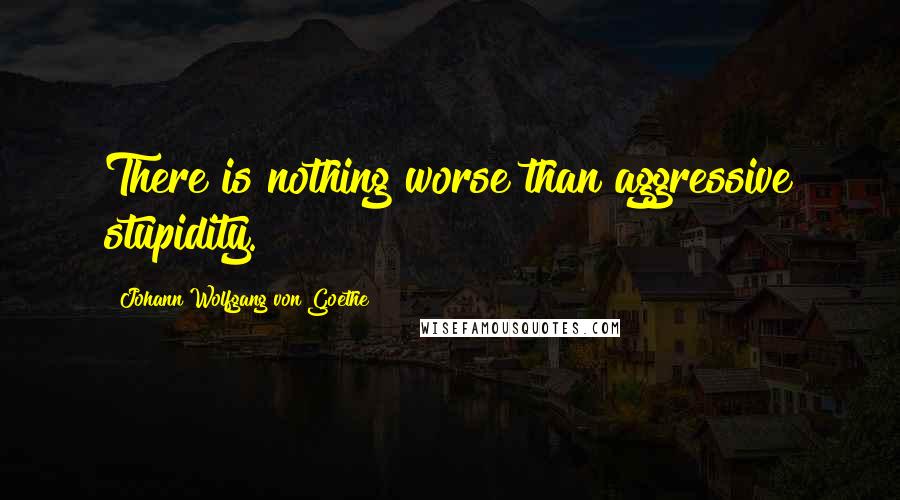 Johann Wolfgang Von Goethe Quotes: There is nothing worse than aggressive stupidity.