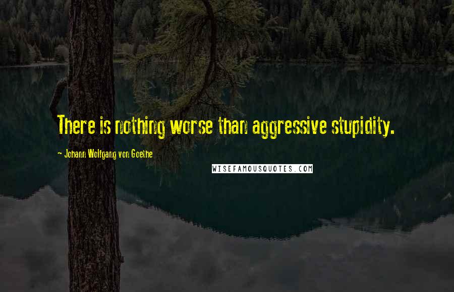 Johann Wolfgang Von Goethe Quotes: There is nothing worse than aggressive stupidity.
