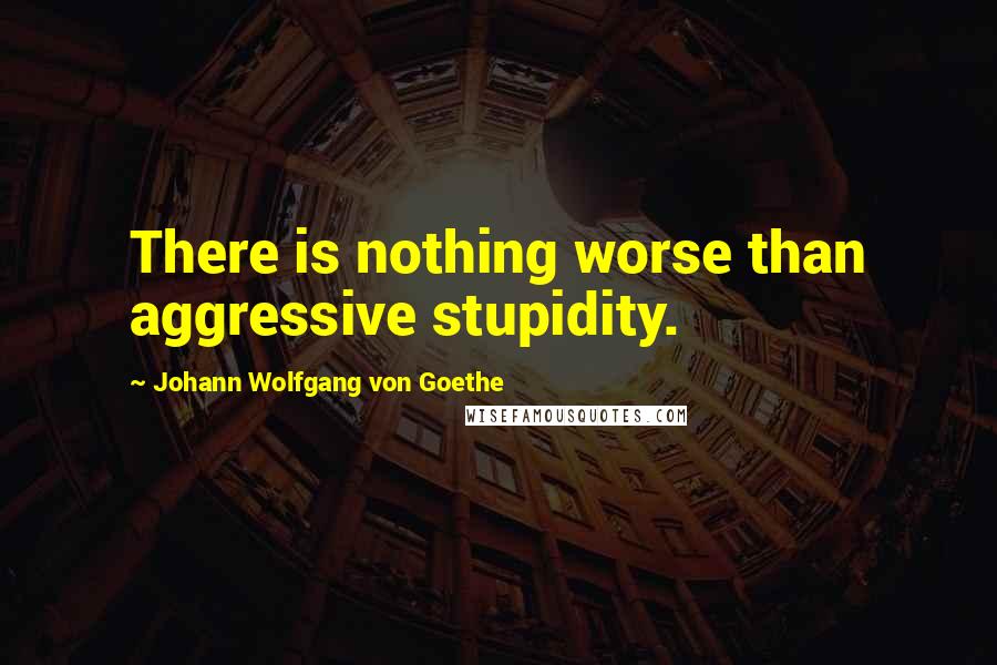 Johann Wolfgang Von Goethe Quotes: There is nothing worse than aggressive stupidity.