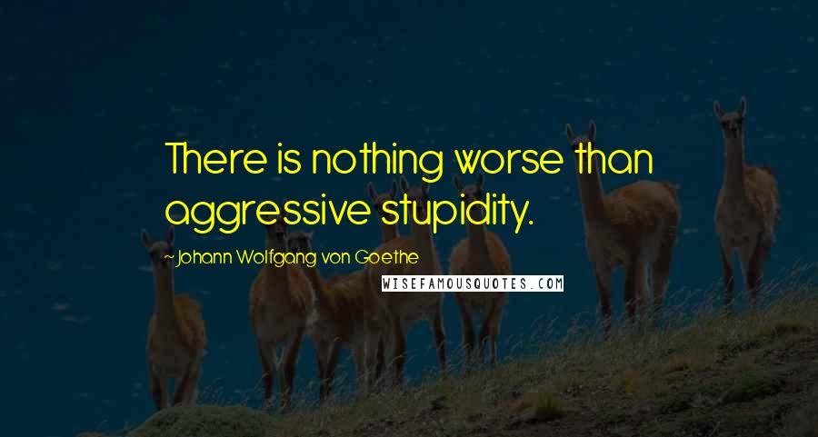 Johann Wolfgang Von Goethe Quotes: There is nothing worse than aggressive stupidity.