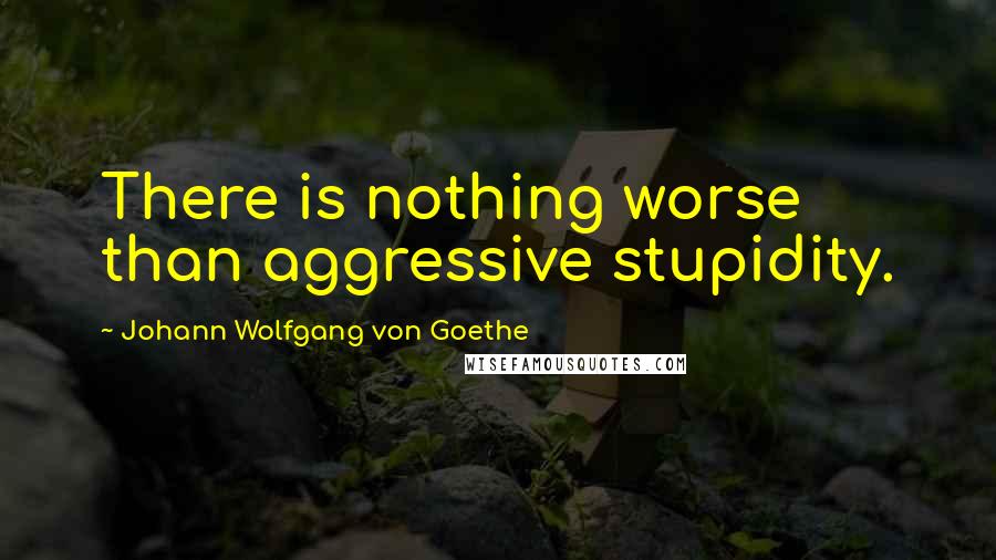 Johann Wolfgang Von Goethe Quotes: There is nothing worse than aggressive stupidity.
