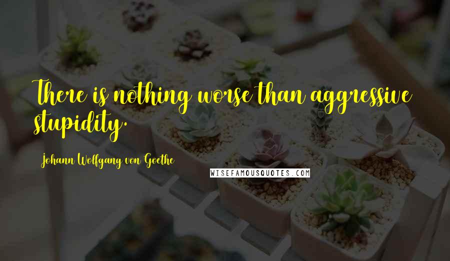 Johann Wolfgang Von Goethe Quotes: There is nothing worse than aggressive stupidity.