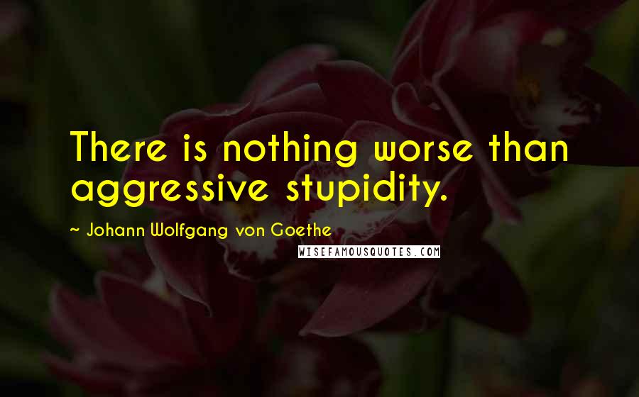 Johann Wolfgang Von Goethe Quotes: There is nothing worse than aggressive stupidity.
