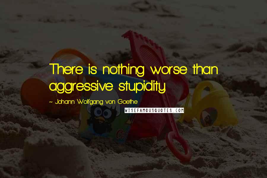 Johann Wolfgang Von Goethe Quotes: There is nothing worse than aggressive stupidity.
