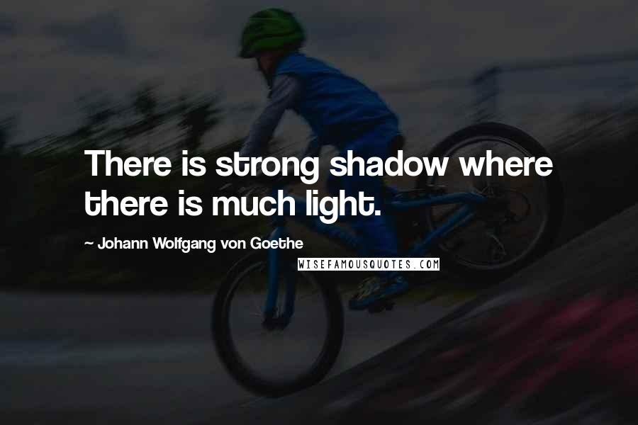 Johann Wolfgang Von Goethe Quotes: There is strong shadow where there is much light.