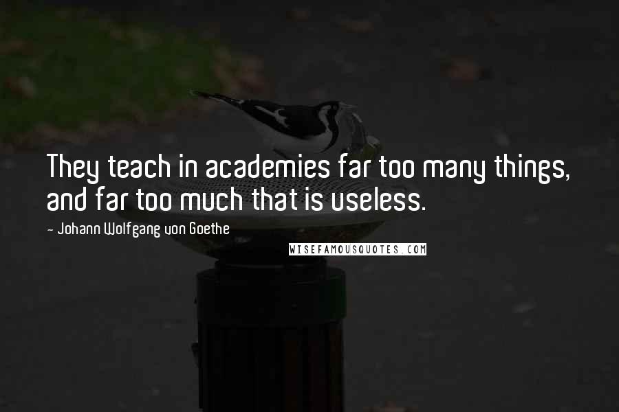 Johann Wolfgang Von Goethe Quotes: They teach in academies far too many things, and far too much that is useless.