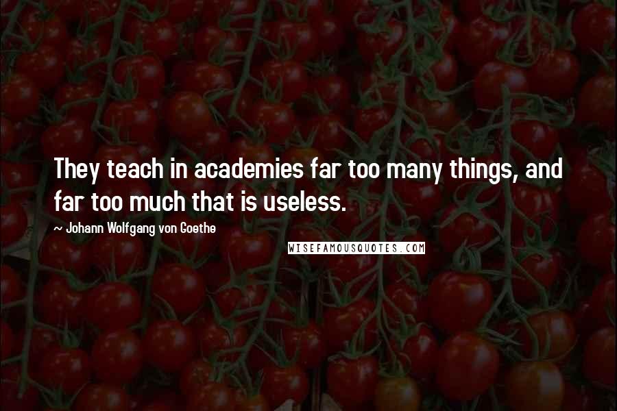 Johann Wolfgang Von Goethe Quotes: They teach in academies far too many things, and far too much that is useless.