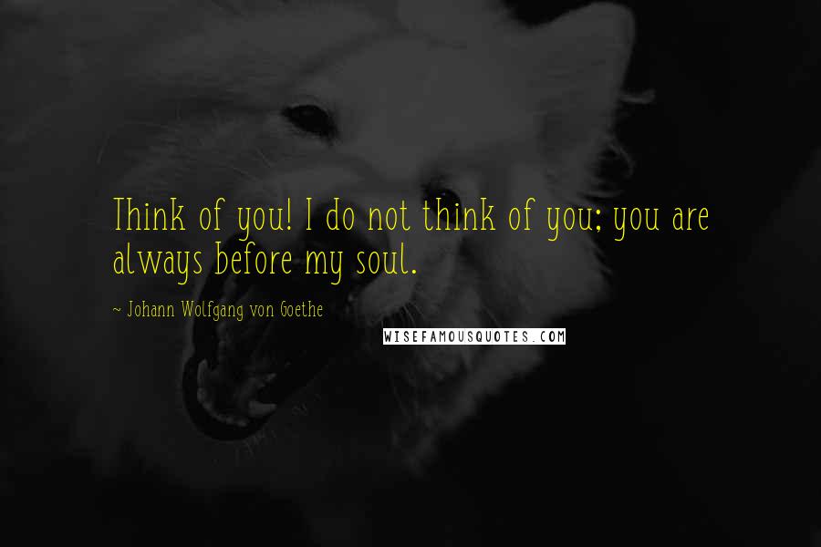 Johann Wolfgang Von Goethe Quotes: Think of you! I do not think of you; you are always before my soul.