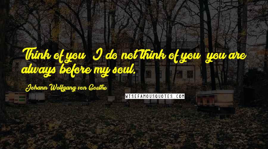 Johann Wolfgang Von Goethe Quotes: Think of you! I do not think of you; you are always before my soul.