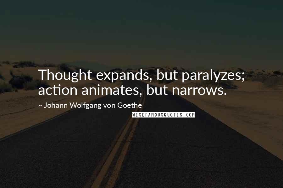 Johann Wolfgang Von Goethe Quotes: Thought expands, but paralyzes; action animates, but narrows.